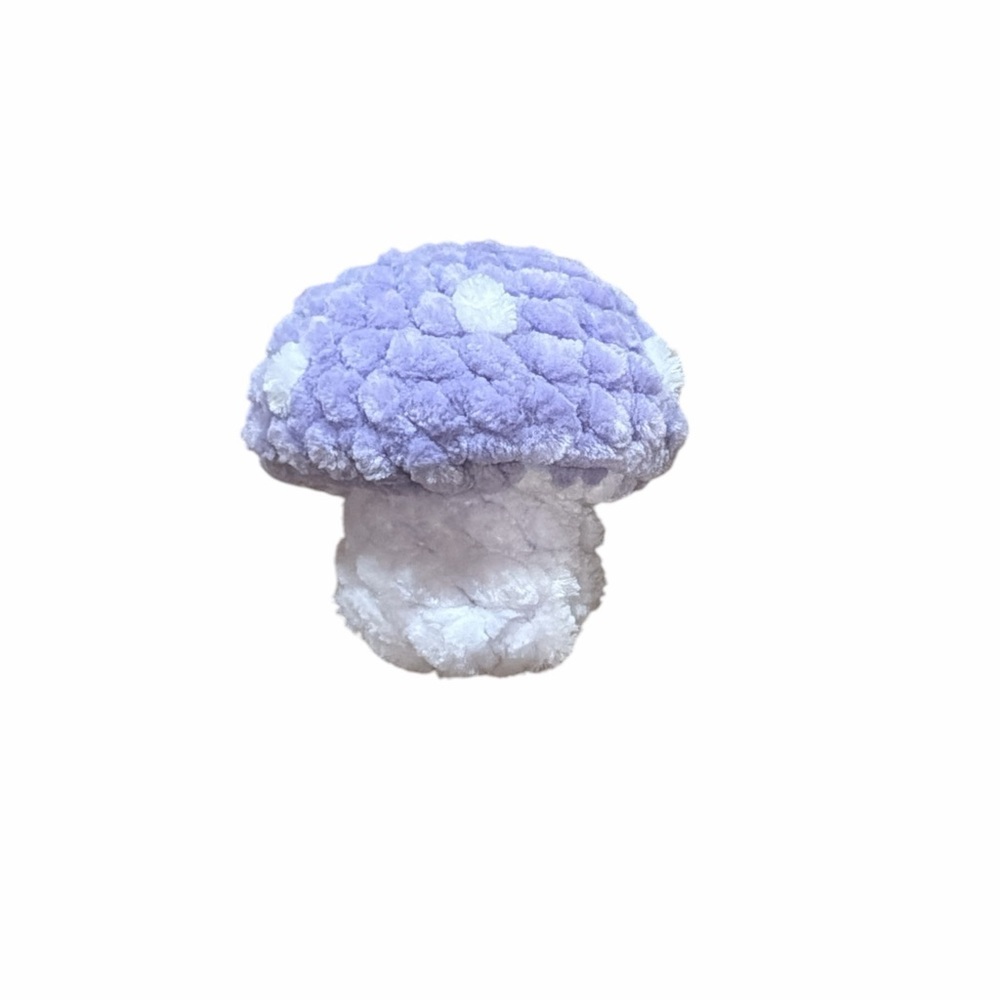 Crochet Mushroom Pop Toy